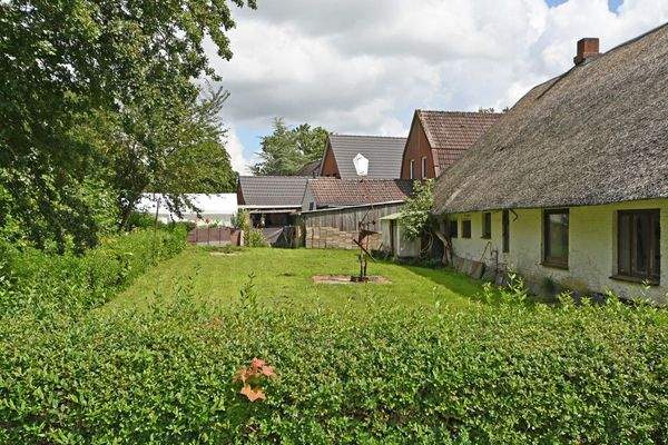  Garten hinter dem Haus