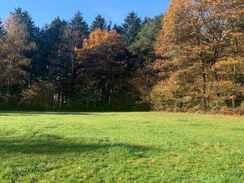 Böbrach Grundstücke, Böbrach Grundstück kaufen