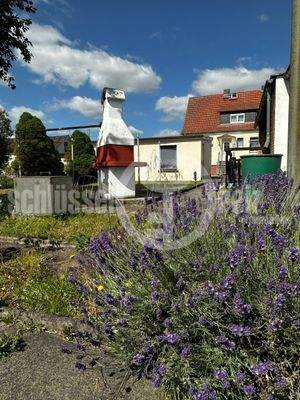 Grundstück / Garten