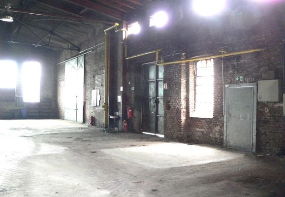 Halle 2 (ca 300m²), Bild 4