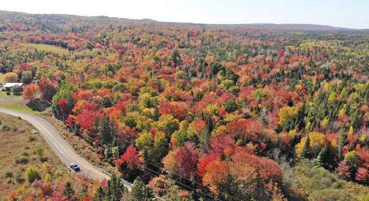 Nova Scotia - West Side Country Harbour - 52-Hekta