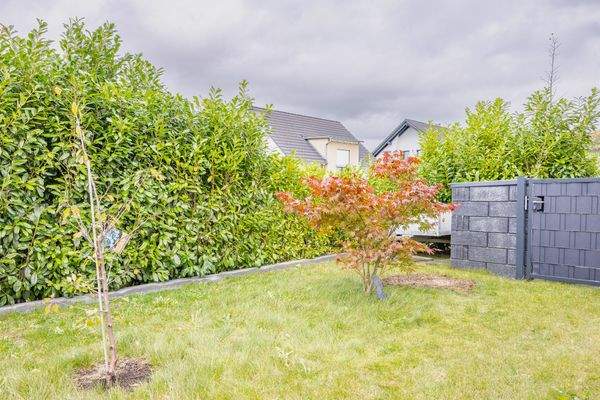 Blick in den Garten_3