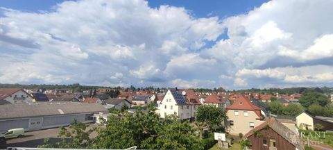 Sinsheim Häuser, Sinsheim Haus kaufen