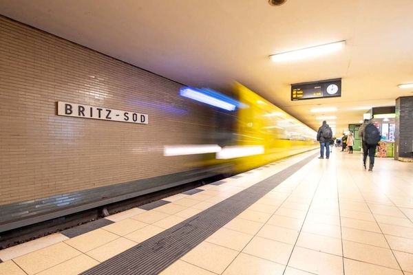 Zaunkönig Weg_U-bahnBritzSud