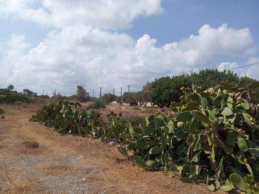 Ein wirklich erstaunliches Grundstück am Meer in Stavros, Chania