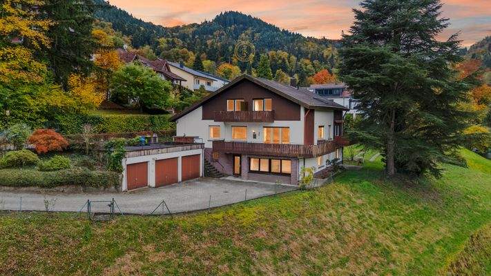 Drohnenaufnahme (3) - Kopie