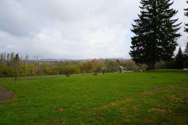 Garten zur Mitbenutzung