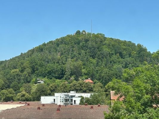 Blick auf die Burg