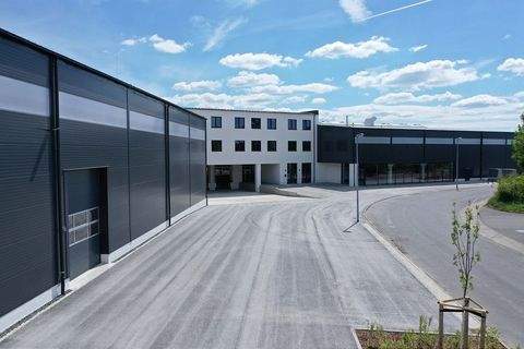 Höckendorf Halle, Höckendorf Hallenfläche