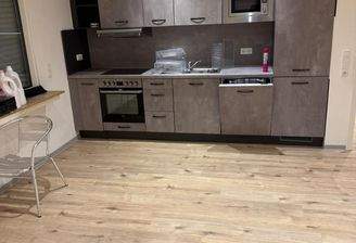 Küche und Wohnraum.jpg