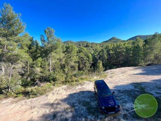 Ausblick von Terrasse 