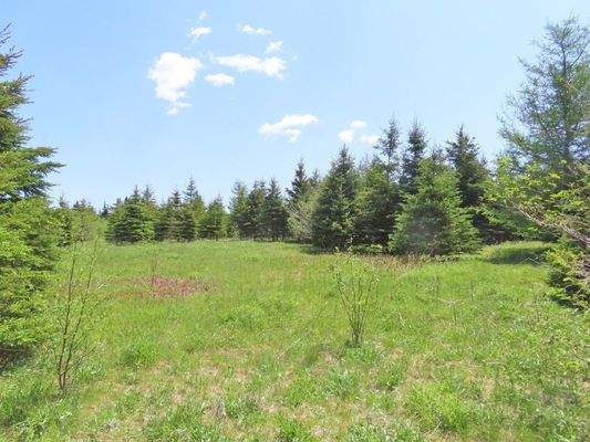 Cape Breton - Wunderschönes 10-Hektar-Areal inmitt