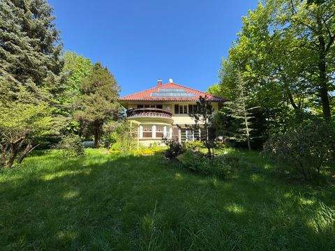 Großschirma Häuser, Großschirma Haus kaufen