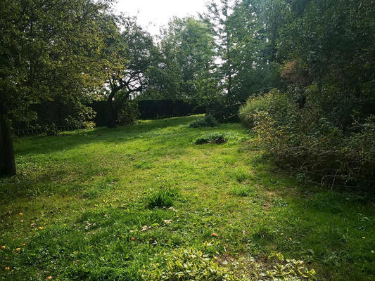 8be89b2e-e6db-41ca-8e21-482f3d6626e6