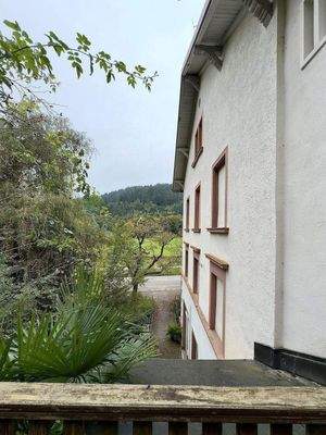 Wiehre-Günterstal: Garten für 4 sich einige Käufer