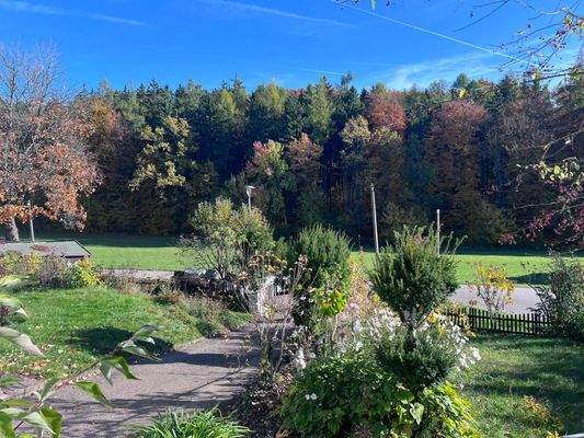 Zufahrt m. Blick i. d. Garten