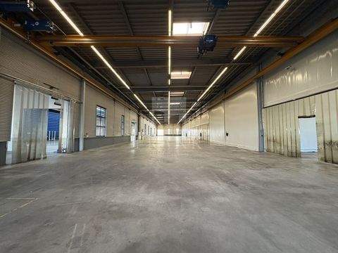 Waiblingen Halle, Waiblingen Hallenfläche