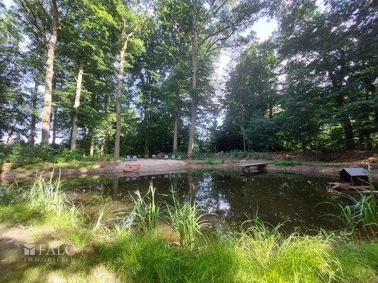 Teich mit Sandstrand