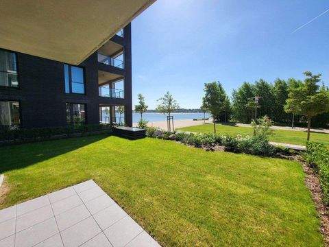 Schleswig Wohnungen, Schleswig Wohnung mieten