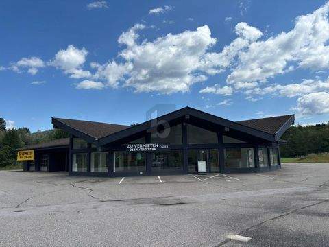 St. Veit an der Glan Halle, St. Veit an der Glan Hallenfläche