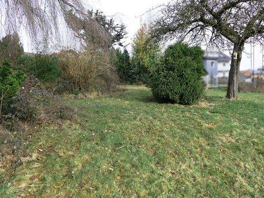 Platz für ihr neues Zuhause