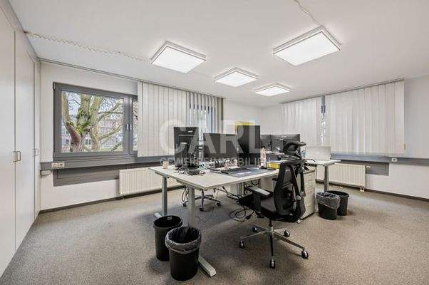 Weinstraße_20260221_23