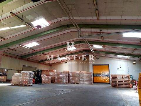 München Halle, München Hallenfläche