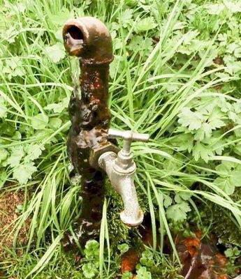 Quelle mit Wasserhahn