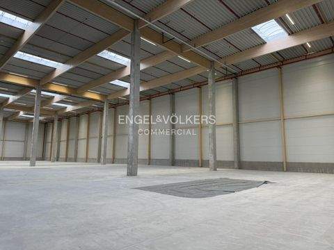 Velten Halle, Velten Hallenfläche