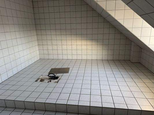 WhatsApp Image 2025-12-05 at 11.37.43 (1).jpeg