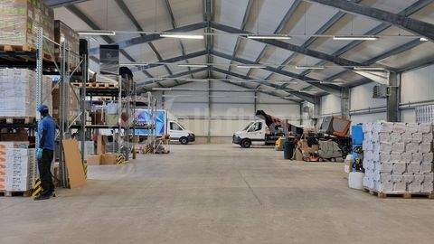 Pfullingen Halle, Pfullingen Hallenfläche