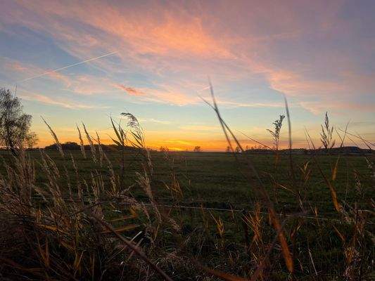 Sonnenuntergang in Groß Zicker