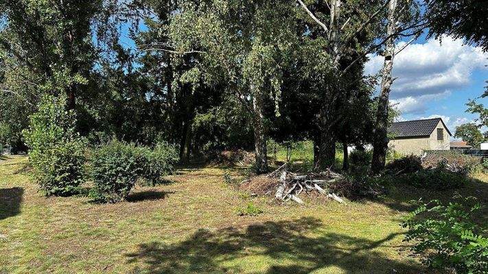 Grundstück Bild 4.jpg