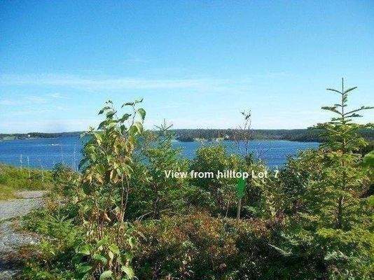 Blick vom oberen Bereich des Grundstückes