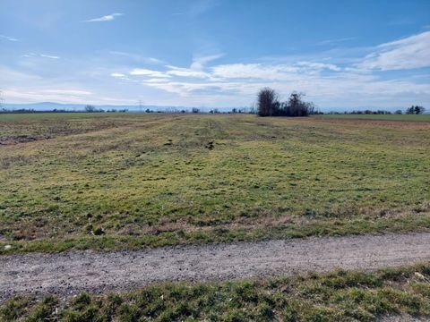 Seitzersdorf-Wolfpassing Bauernhöfe, Landwirtschaft, Seitzersdorf-Wolfpassing Forstwirtschaft