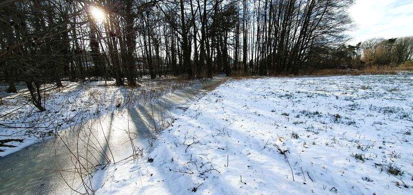 Bachlauf in der angrenzenden Wiese