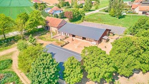 Hütschenhausen Bauernhöfe, Landwirtschaft, Hütschenhausen Forstwirtschaft