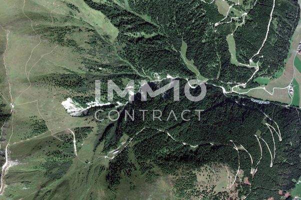 Satellitenaufnahme Waldparzelle