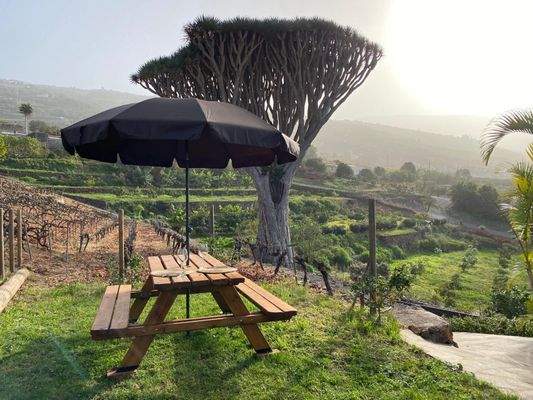 WhatsApp Image 2025-05-01 at 12.52.10.jpeg