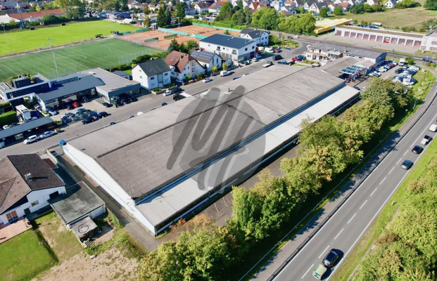 INFOS UNTER: 06171-586000