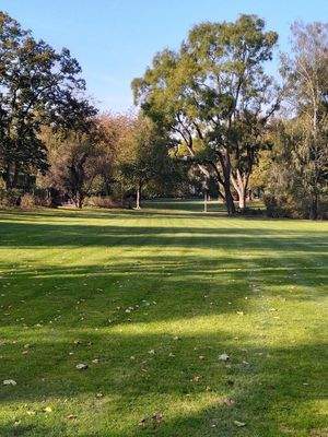 Park in unmittelbarer Umgebung