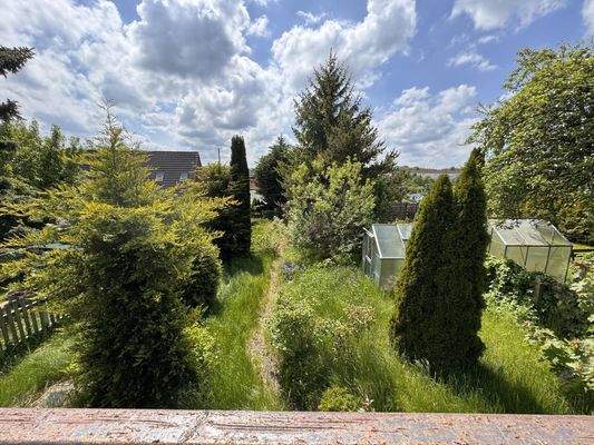 Blick in den Garten