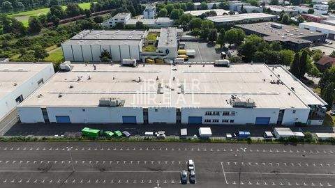 Mülheim an der Ruhr Halle, Mülheim an der Ruhr Hallenfläche