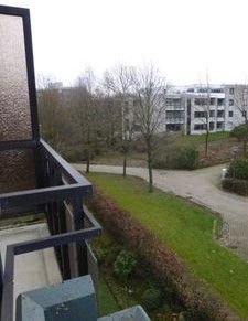 Blick vom Balkon