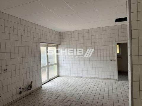 Blaufelden Halle, Blaufelden Hallenfläche