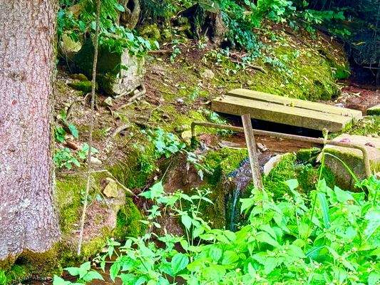 Bachlauf neben dem Haus