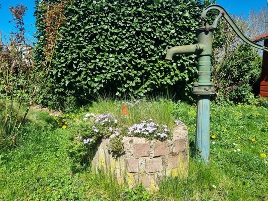 Gartendeko