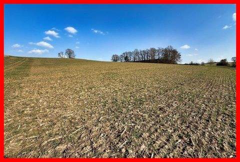 Rohrbach Bauernhöfe, Landwirtschaft, Rohrbach Forstwirtschaft