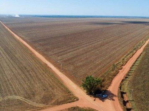Campo Novo Do Parecis Häuser, Campo Novo Do Parecis Haus kaufen