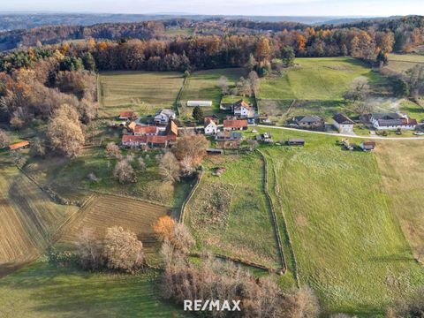 Hofstätten an der Raab Bauernhöfe, Landwirtschaft, Hofstätten an der Raab Forstwirtschaft